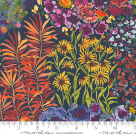 Floribunda Midnight - 39801/12