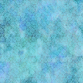 Dear Clara Fiels Sky - 11DCL2