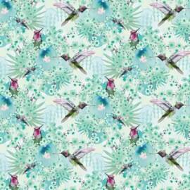 Hummingbird - DV7265