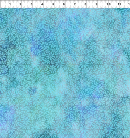 Dear Clara Fiels Sky - 11DCL2