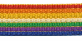 Tassenband 25 mm streep - regenboog