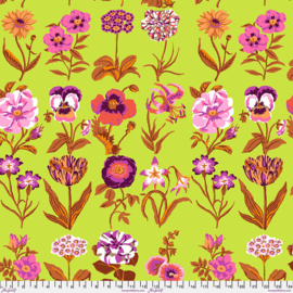 Kaffe Fassett - PWGP205LIME