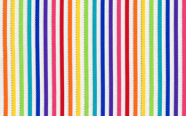 Be Colourful Stripe White Rainbow - BC28Q14