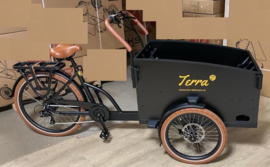 Setje Terra voor Haarlem