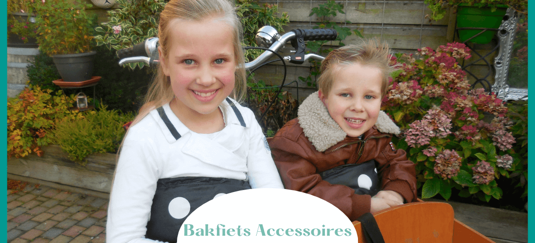 Bakfiets accessoires