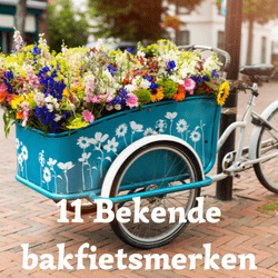 11 Bekende bakfietsmerken