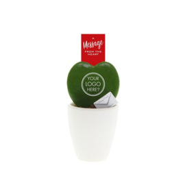 Hartjes plant in giftbox