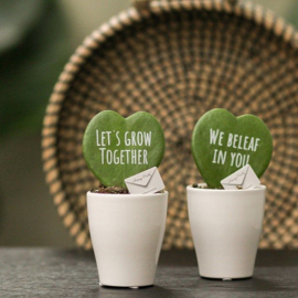 Hartjes plant in giftbox