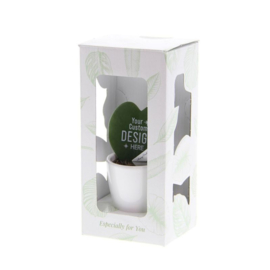 Hartjes plant in giftbox