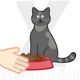 Klusjes | Poes eten geven