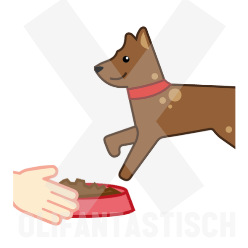 Klusjes | Hond eten geven