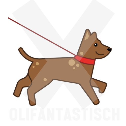 Klusjes | Hond uitlaten