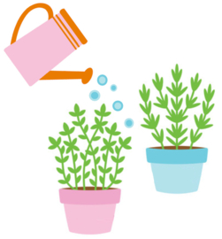 Klusjes | Planten water geven