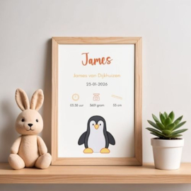 Geboorteposter 'James'
