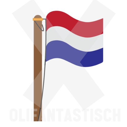 Feest | Koningsdag (en 5 mei) vlag