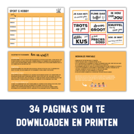 Printable | Diverse planners incl 210 dagritme picto's