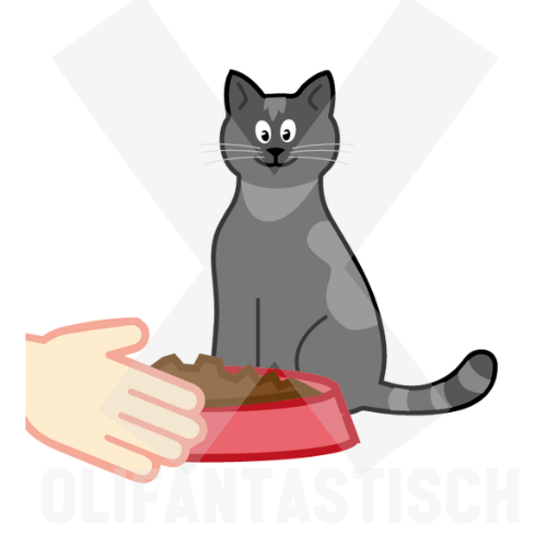 Klusjes | Poes eten geven