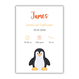 Geboorteposter 'James'
