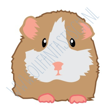 Onophoudelijk Raar Nat Cavia / Hamster | LOSSE MAGNEETJES | Olifantastisch