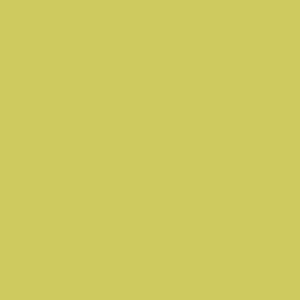 Textielverf - Dekkend - 50 ml - Kleur Kiwi