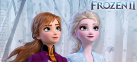 FROZEN FEESTJE