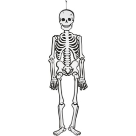 Halloween Decoratie Skelet - Hoogte 120 cm - Glow in the Dark