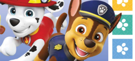 PAW PATROL FEEST