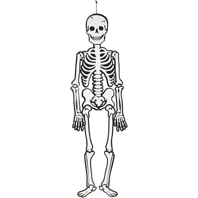 Master diploma Ga trouwen single Halloween Decoratie Skelet - Hoogte 120 cm - Glow in the Dark | HEKSENFEEST  / HALLOWEEN | PartyPost.nl