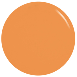 Orly Nagellak Hunky Dory 11ml