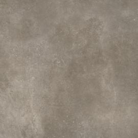 VT Wonen Solostone Uni Mold Taupe 70x70