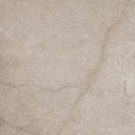 Beste Koop Uni Beige 60x60