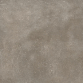 VT Wonen Solostone Uni Mold Taupe 70x70