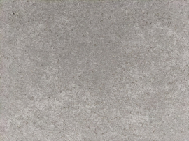 Traptrede 100x35x15 cm stone grey kleurecht met facet (per 2 stuks)