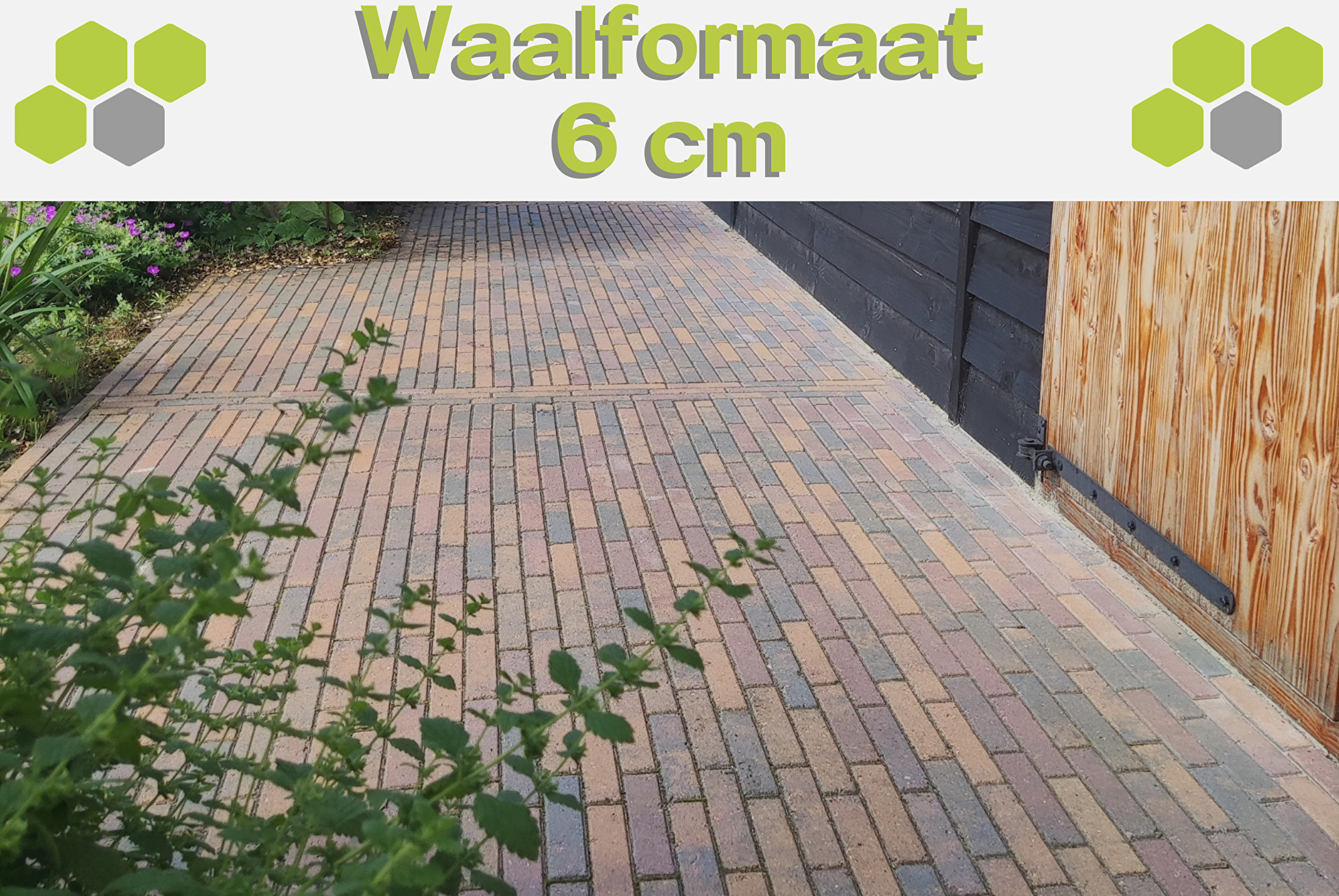 Waalformaat 6 cm