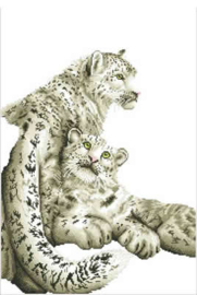 Snow Leopards