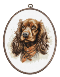 Cocker Spaniel