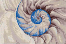 Nautilus