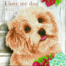 I Love My Dog