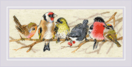 Vogels op een Rij