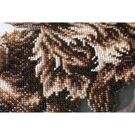 Wasberen