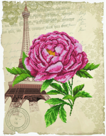 Roos in Parijs