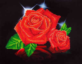 Red Rose Sparkling