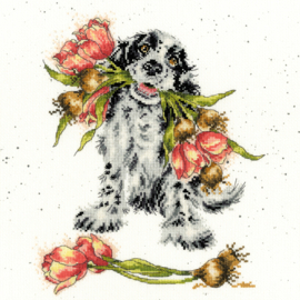 Cocker Spaniel met  tulpen