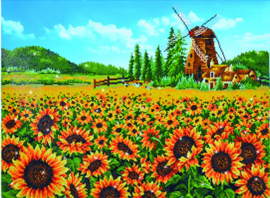 Zonnebloemen met Molen