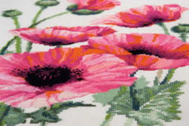 Roze Klaprozen