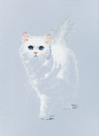 Witte Kat