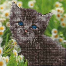 Diamond Art - Kitten