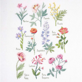 Bloemen Illustratie - DMC