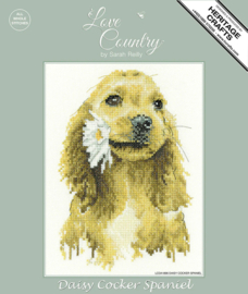 Cocker Spaniel