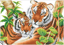 Tender Tigers